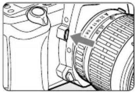 PENTAX MZ-L - プレビューで被写界深度を確認する - 2
