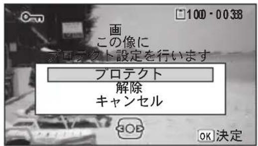 100 - 0038 画 この像に プロテクト設定を行います プロテクト 解除 キャンセル OK 決定
