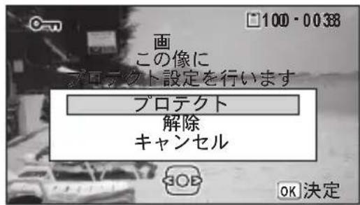100 - 0038 画 この像に プロテクト設定を行います プロテクト 解除 キャンセル OK 決定