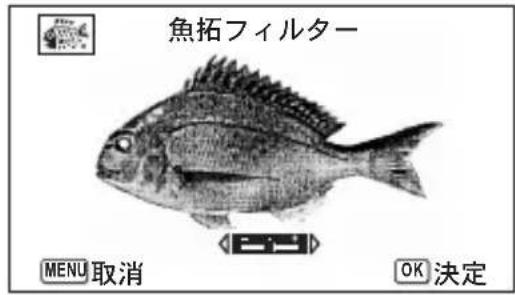 魚拓フィルター MENU 取消 OK 決定