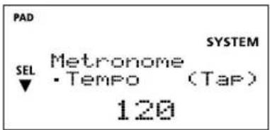 PAD SYSTEM SEL Metronome • Tempo (Tap) 120