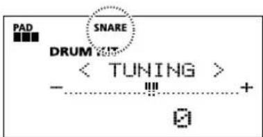 PAD SNARE DRUM - + ?