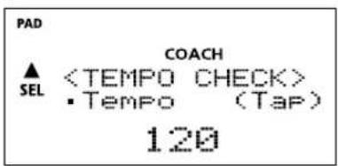 PAD COACH ▲ SEL • Tempo (Tap) 120