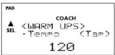 PAD COACH ▲ SEL - Tempo (Tarp) 120