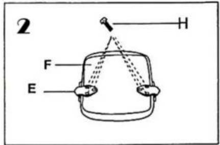 2 F E H