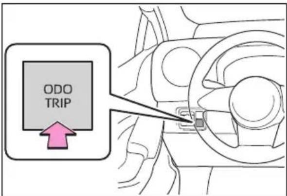 ODO TRIP