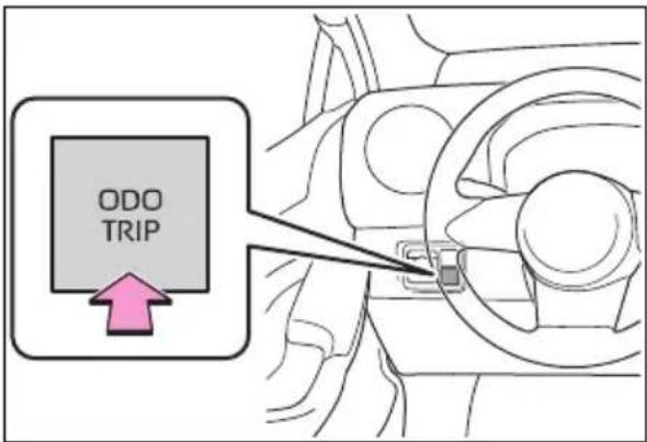 ODO TRIP