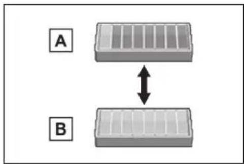 A B