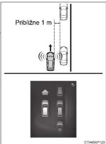 Približne 1 m CTH45AP123