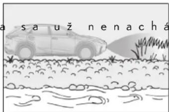 sauž nenachá