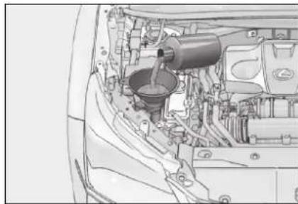 LEXUS NX 200 (2018) - Kontrola a doplnenie kvapaliny ostrekovačov - 1