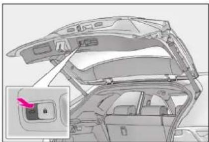 LEXUS NX 200 (2018) - Nastavenie polohy otvorenia zadných dverí (vozidlá s elektricky ovládanými zadnými dverami) - 1