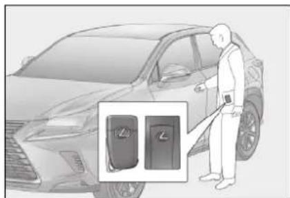 LEXUS NX 200 (2018) - NX300 - 2