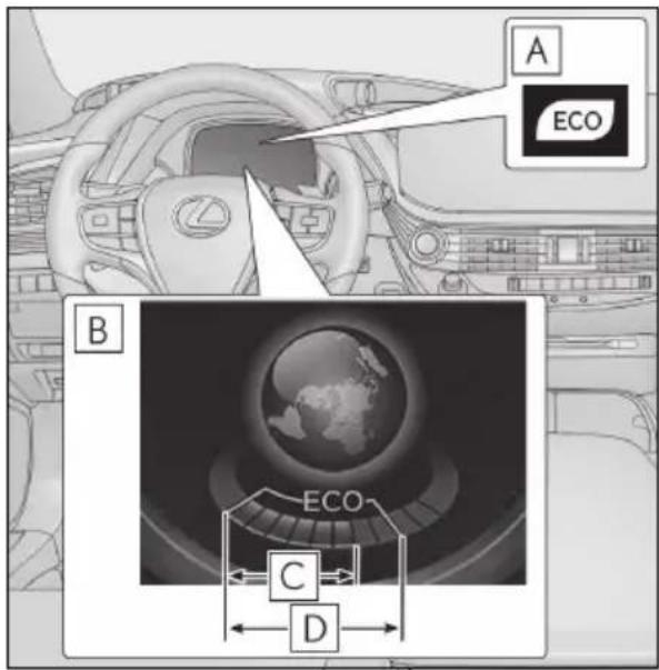 A ECO B ECO C D