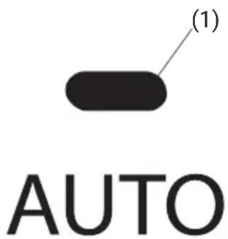 (1) AUTO