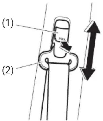 (1) (2)