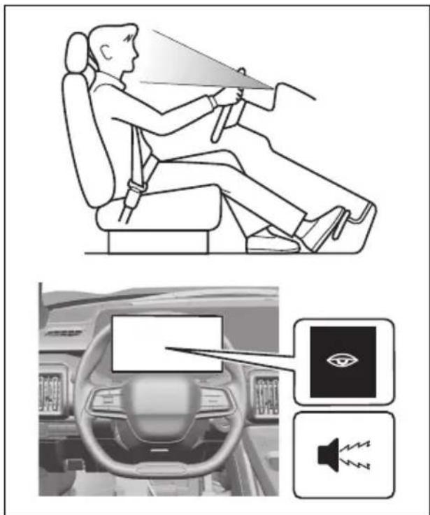 TOYOTA Urban Cruiser (2025) - Podaci o licenci - 1