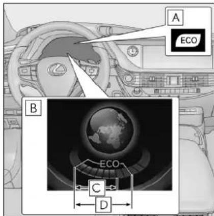 A ECO B ECO C D