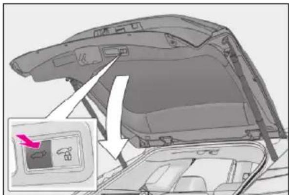 LEXUS RX 500h (2022) - • Otvorit' - 2