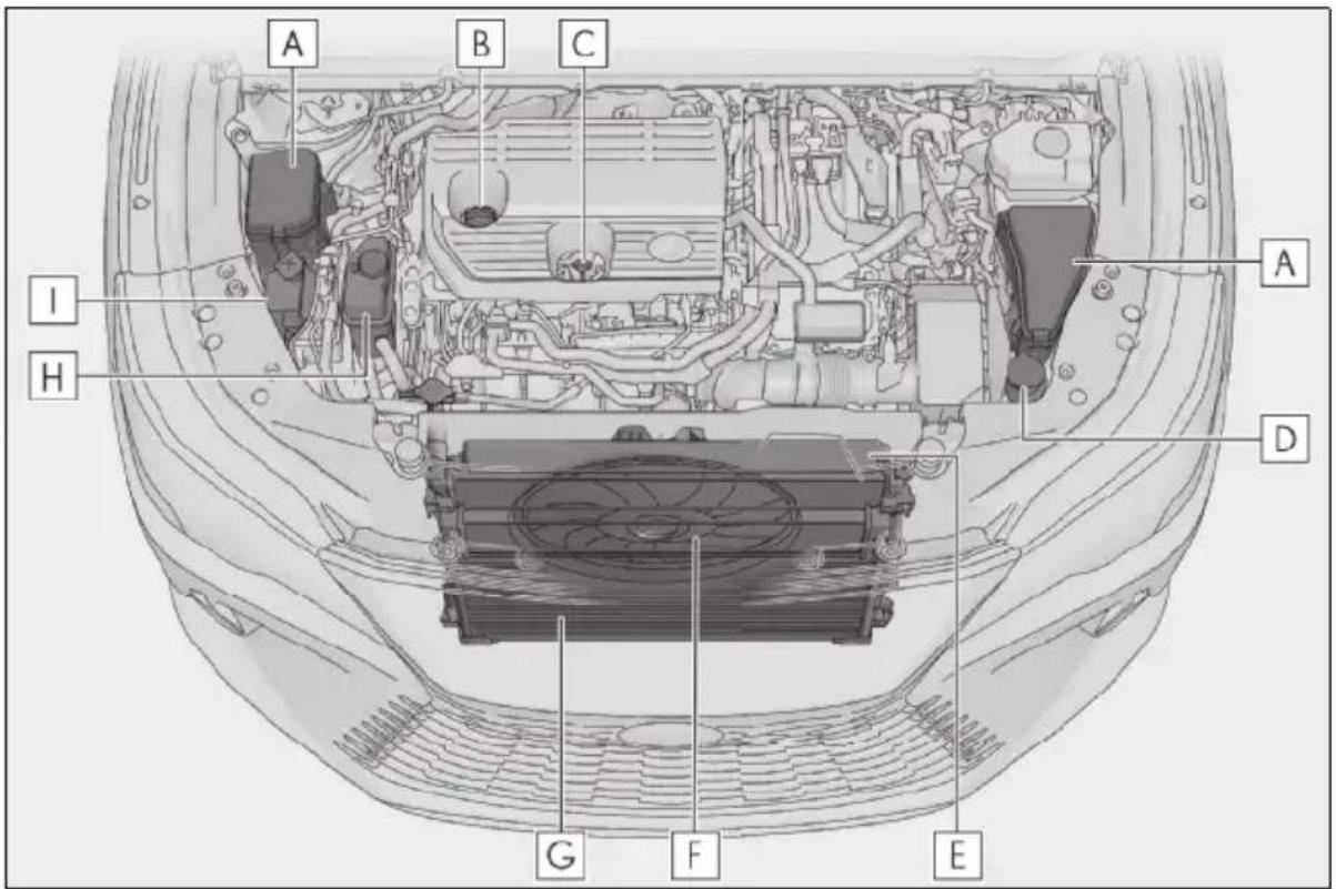 LEXUS RX 500h (2022) - Vpredu Vzadu - 2