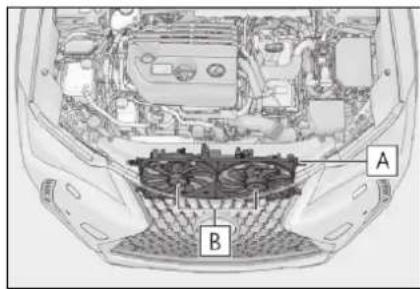 A B