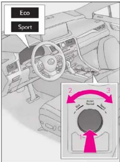 Eco Sport 2 3 ECA FULL Normal 1