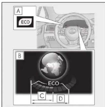 A ECO B ECO C D