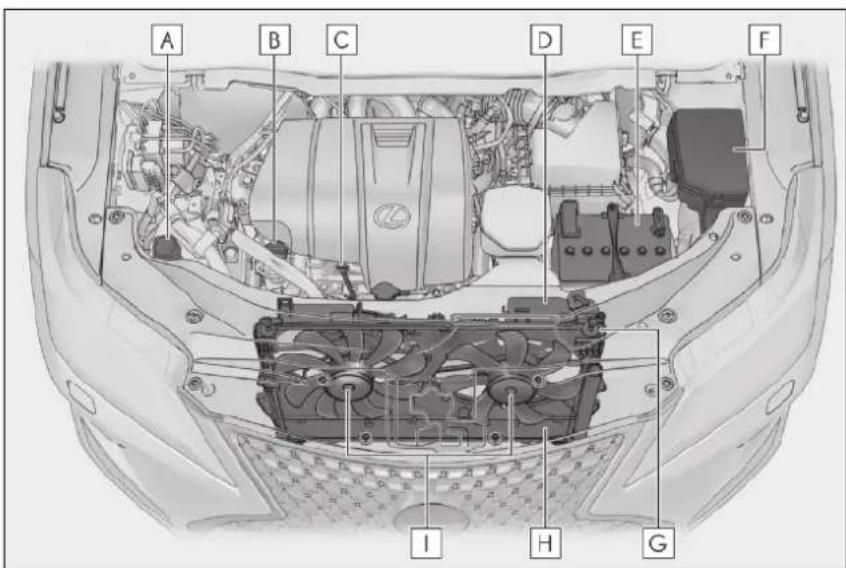 LEXUS RX 300 (2020) - Umiestnenie podlahového zdviháku - 2