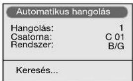Automatikus hangolás Hangolás: 1 Csatorna: C 01 Rendszer: B/G Keresés...