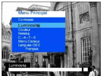 Menu Principal Contraste Luminosité Couleur Netteté C-A-T-S Menu Canaux Langues OSD Français Luminosité