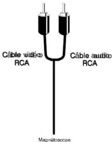 Câble wide/° RCA Câble audio RCA Magnétoscope
