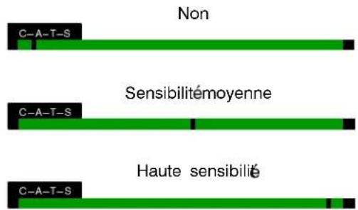 Non C-A-T-S Sensibilitémoyenne C-A-T-S Haute sensibilité C-A-T-S