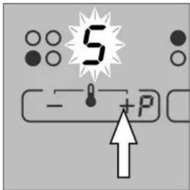 5 - +P