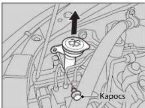 Kapocs
