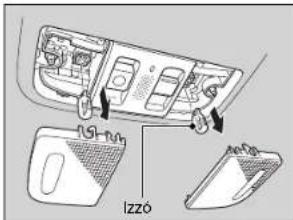 rs-nm izzó