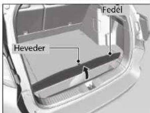 Fedel Heveder