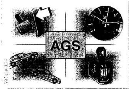 AGS