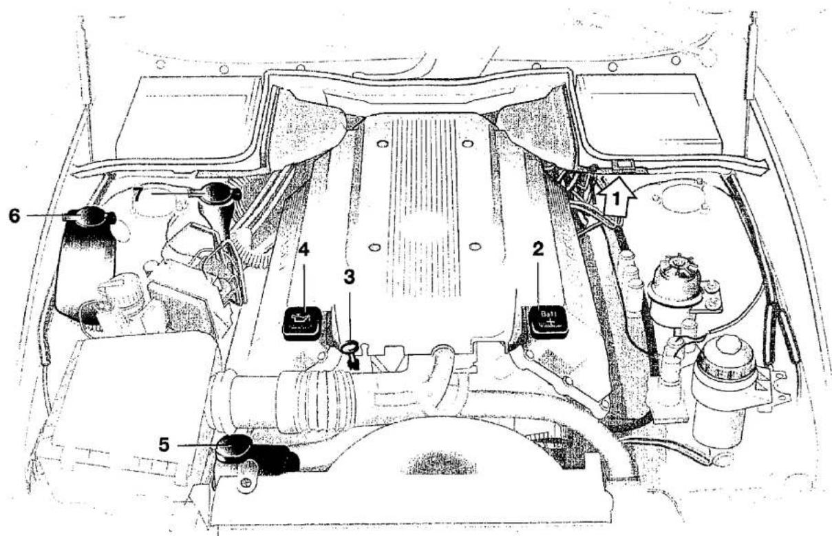 Technical diagram of a car engine bay with numbered components and labeled parts
