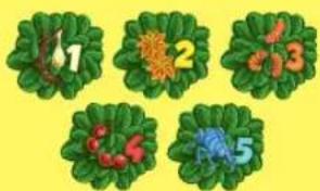 1 2 3 4 5