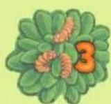 White Goblin Games Sugar Gliders - a. Saut - 1