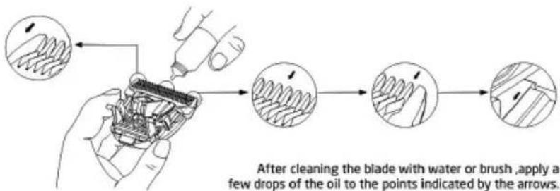 After cleaning the blade with water or brush, apply a few drops of the oil to points indicated by the arrows.