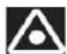 APRILIA Tuono R Factory (2006) - CAUTION - 1