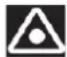 APRILIA Tuono R Factory (2006) - CAUTION - 1