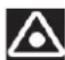 APRILIA Tuono R Factory (2006) - CAUTION - 1