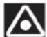 APRILIA Tuono R Factory (2006) - CAUTION - 2
