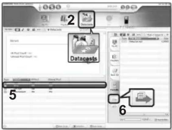 Datacasts 2 Hems 40 Fast Pack - 100 Virtual Fast Pack - 100 Datacasts 5 6