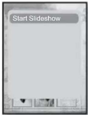 Start Slideshow