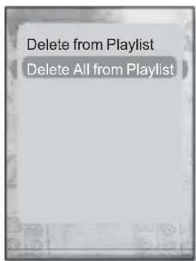 Delete from Playlist Delete All from Playlist