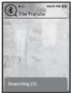 File Transfer Searching (0)