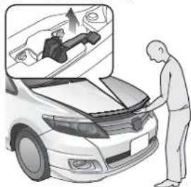 Honda Airwave (2010) - ボンネット→P.157,158,202 - 2